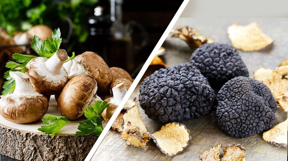 TRUFFLES