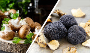 Mushrooms and Truffles Difference