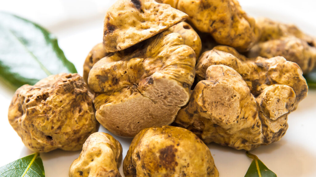 The Culinary Delights of White Truffle Oil: History, Trends, and Recipes