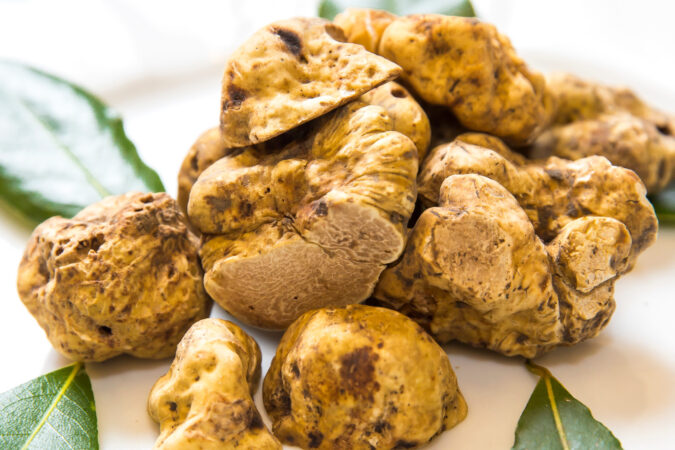 The Culinary Delights of White Truffle Oil: History, Trends, and Recipes